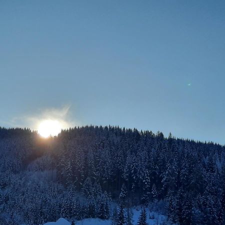 Gaestehaus Gamsblick Werfenweng Dış mekan fotoğraf
