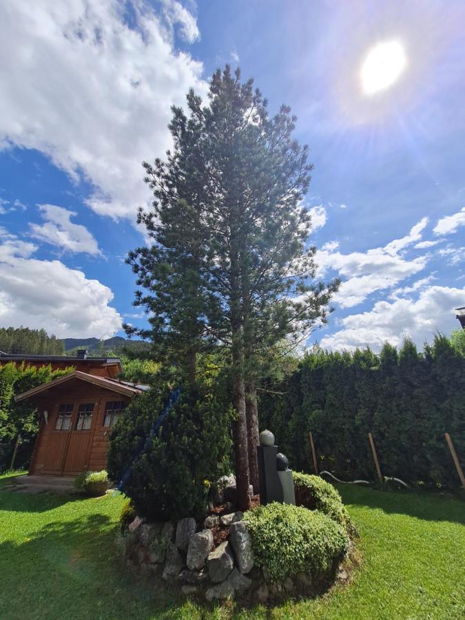 Gaestehaus Gamsblick Werfenweng Dış mekan fotoğraf